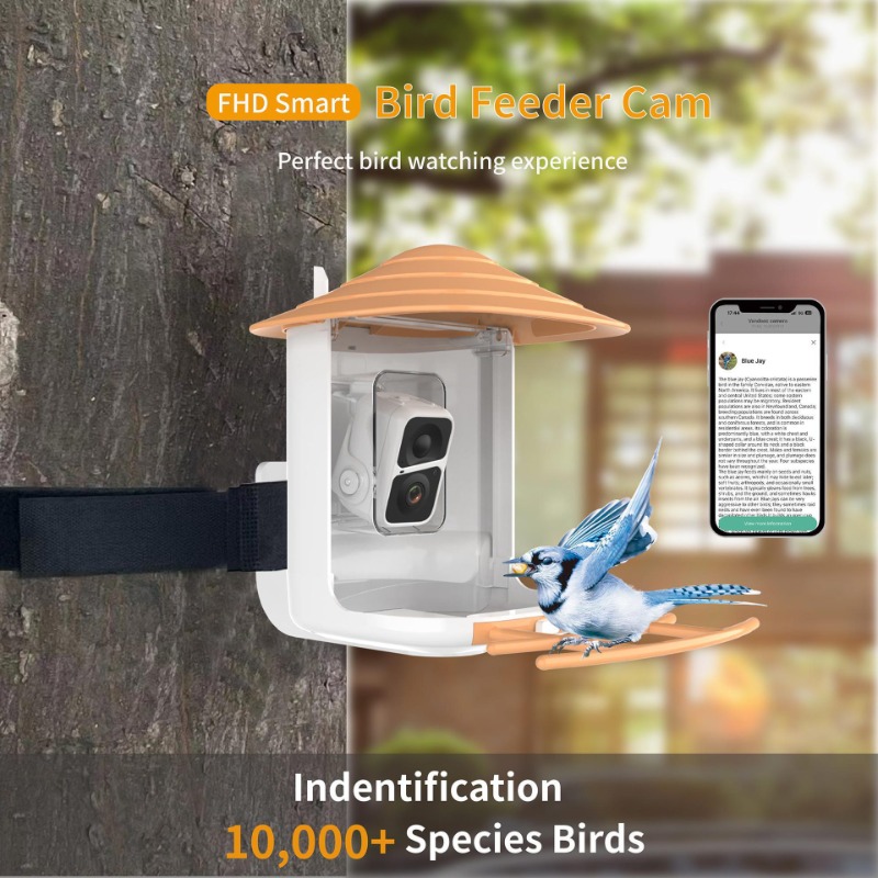 Mangeoire pour oiseaux à énerg - Outdoor Power Products avis et prix