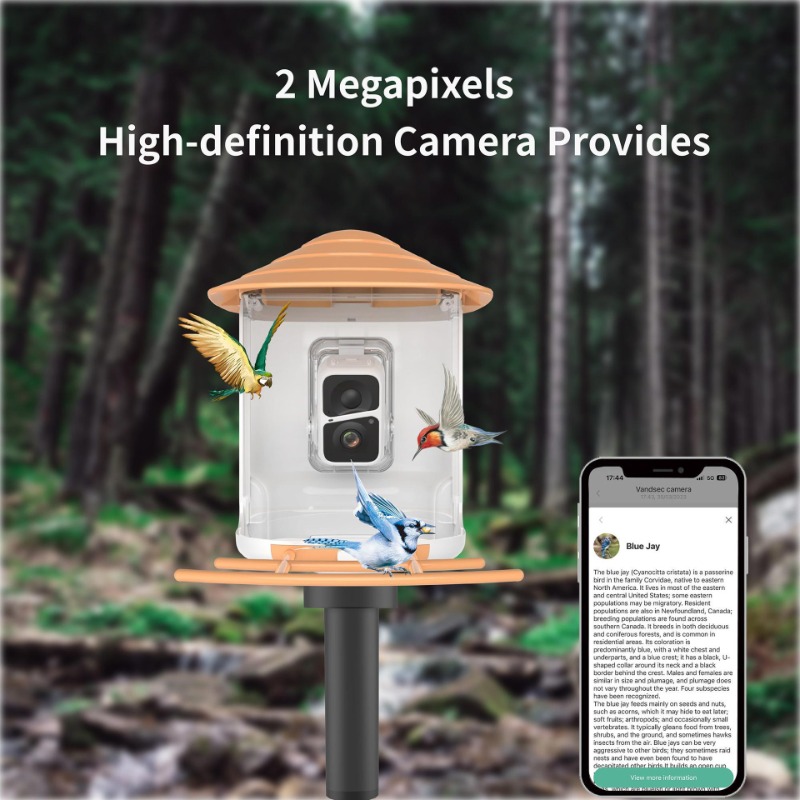 Mangeoire pour oiseaux à énerg - Outdoor Power Products avis et prix