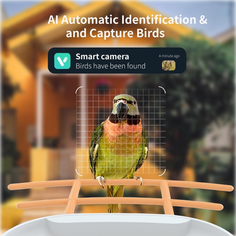 Mangeoire pour oiseaux à énerg - Outdoor Power Products avis et prix